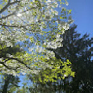 Meet your Posher, Karma